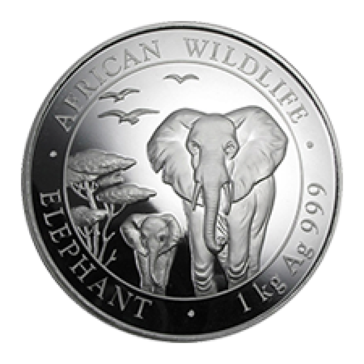 1 kilo zilveren munt Somalische Olifant 2014 voorkant