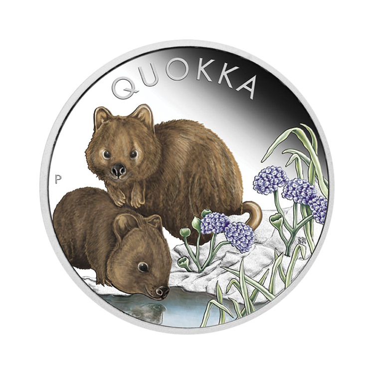 1 troy ounce zilveren munt Quokka gekleurd 2023 proof voorkant
