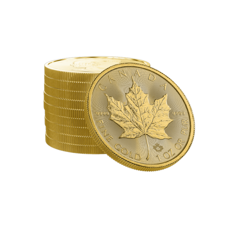 1 troy ounce gouden Maple Leaf munt perspectief 2