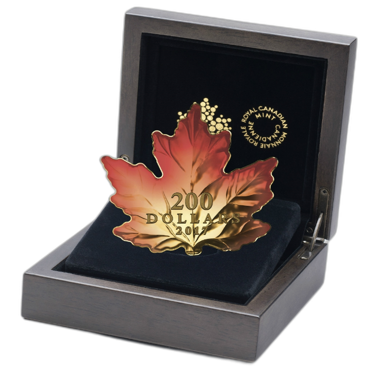 Uitsnede gouden Maple Leaf Autumn Fire achterkant