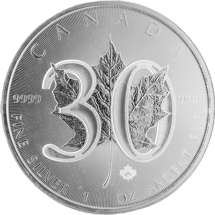 1 Troy ounce zilveren Maple Leaf 2018 - Jubileum 30 jaar perspectief 3