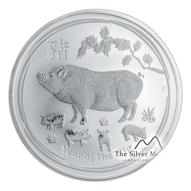 10 troy ounce zilveren Lunar munt 2019 - het jaar van het varken perspectief 3