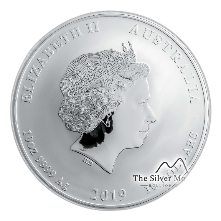 10 troy ounce zilveren Lunar munt 2019 - het jaar van het varken perspectief 4