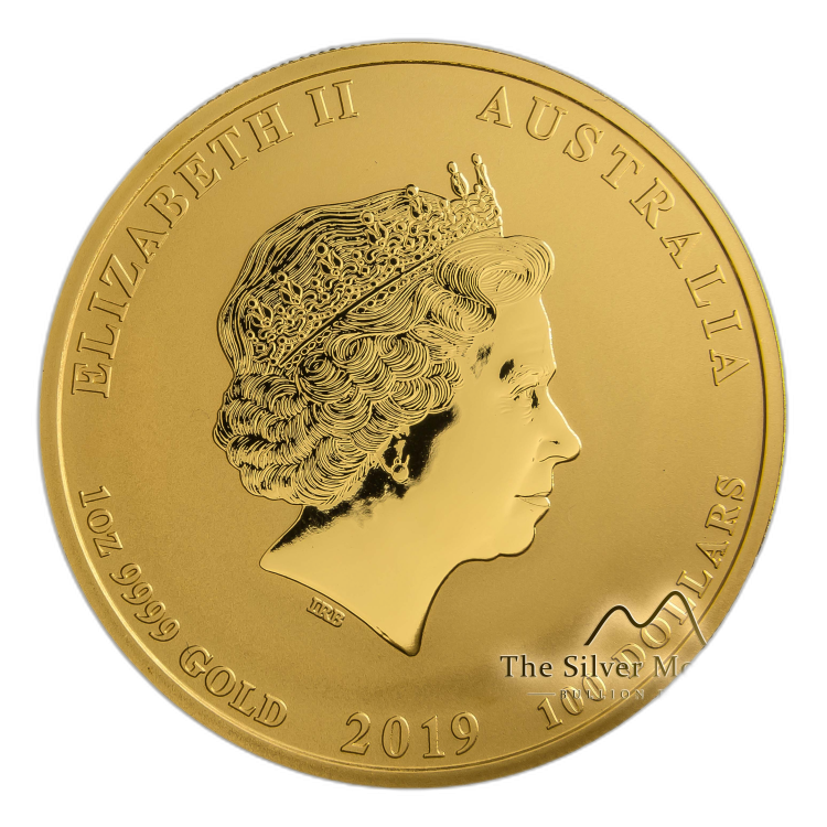 1 Troy ounce gouden munt Lunar 2019 perspectief 5