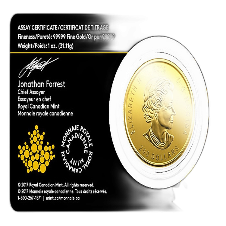 1 Troy ounce gouden munt Canadian Moose 2019 perspectief 1