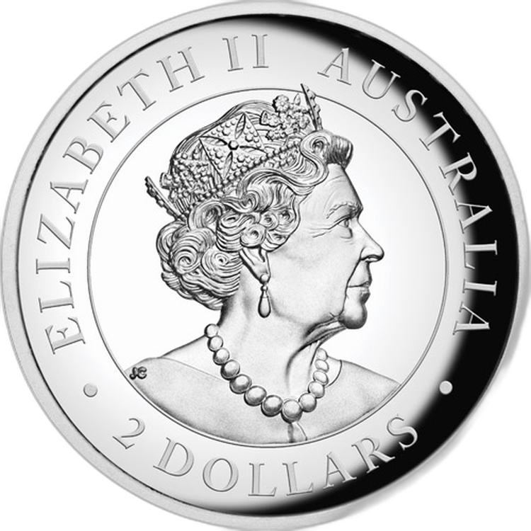 2 troy ounce zilveren munt Australische Brumby 2020 Proof perspectief 2