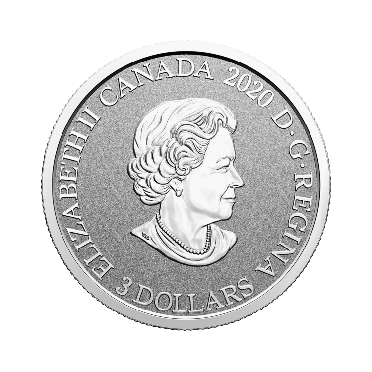 Zilveren munt Bloemenemblemen van Canada Mayflower achterkant
