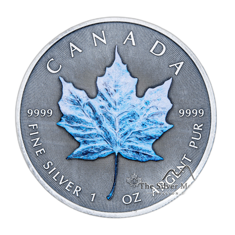 Zilveren munt set troy ounce Maple Leaf - vier seizoenen 2020 perspectief 1