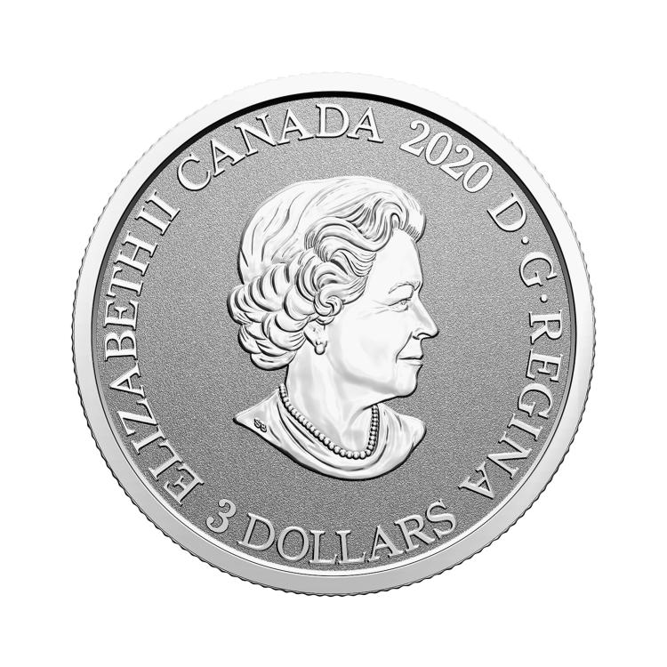 Silver coin Flower emblems of Canada Saskatchewan back