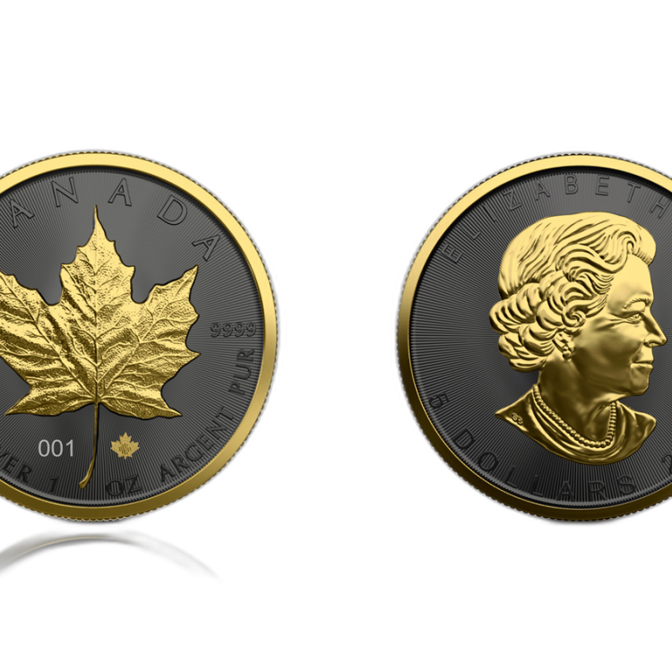 1 Troy ounce zilveren munt Golden Ring - Maple Leaf 2021 perspectief 1