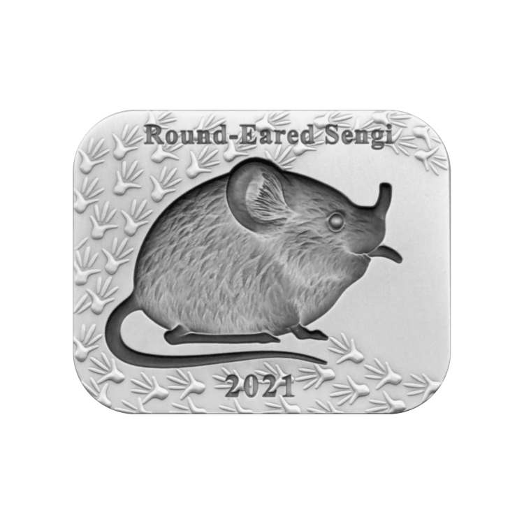 2 troy ounce zilveren munt set Ronde-eared Sengi 2021 achterkant