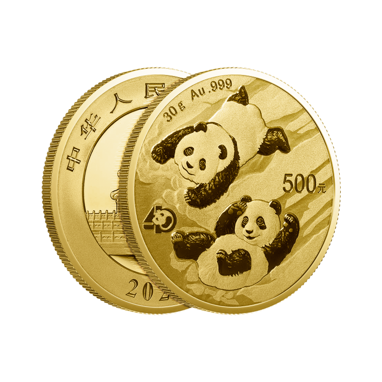 30 Gram gouden munt Panda 2022 perspectief 2