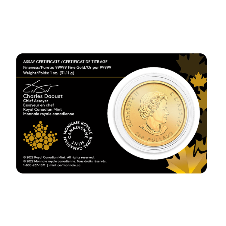 1 troy ounce gouden munt klondike gold rush prospecting perspectief 1