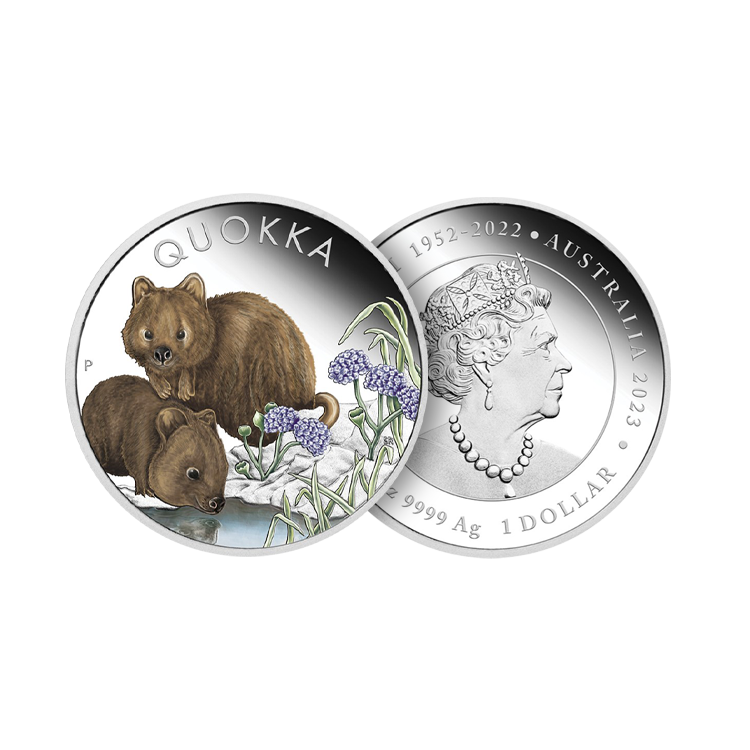 1 troy ounce zilveren munt Quokka gekleurd 2023 proof perspectief 1
