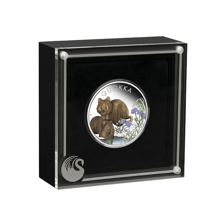 1 troy ounce zilveren munt Quokka gekleurd 2023 proof perspectief 2