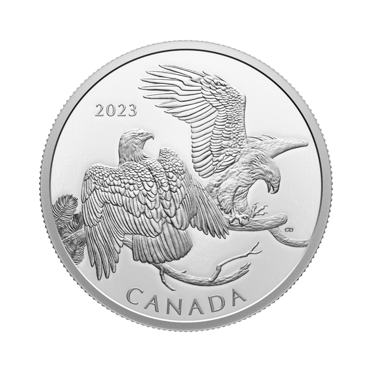 2 troy ounce zilveren Canada The Striking Bald Eagle 2023 proof munt voorkant