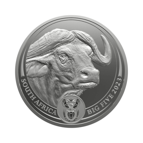 1 troy ounce silver coin Big Five II Buffalo 2023 front