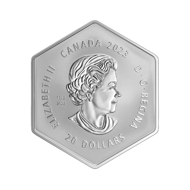 20 dollar zilveren munt Sneeuwvlok 2023 proof achterkant