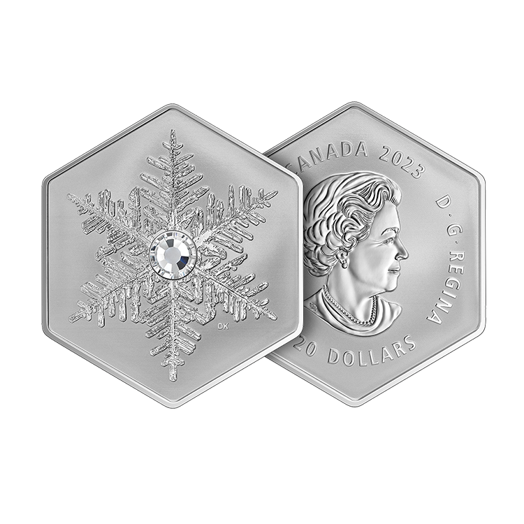 20 dollar zilveren munt Sneeuwvlok 2023 proof perspectief 1