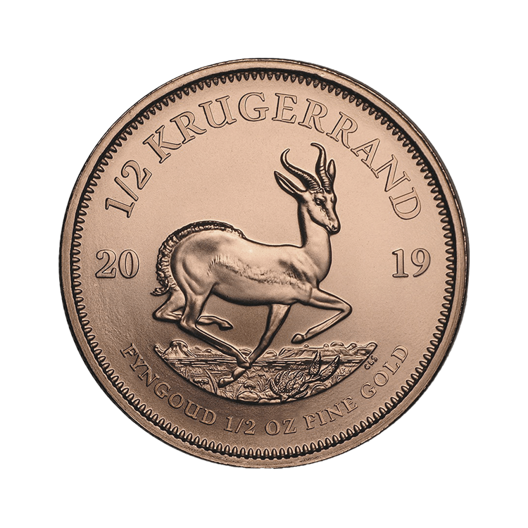 1/2 Krugerrand gold obverse