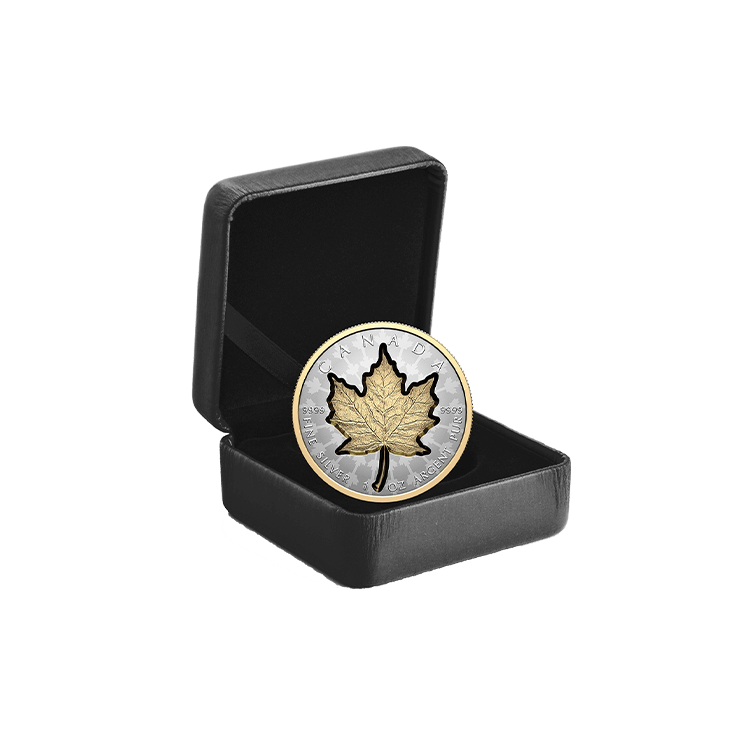 1 troy ounce zilveren munt Super Incuse Maple Leaf 2024 perspectief 2