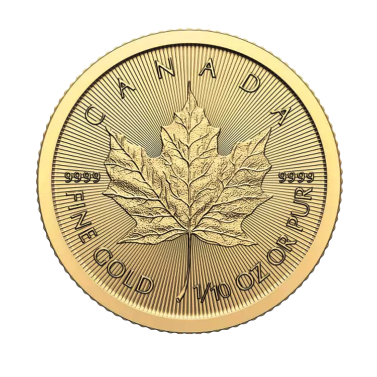 Gouden 1/10 troy ounce Maple Leaf munt 2024 voorkant