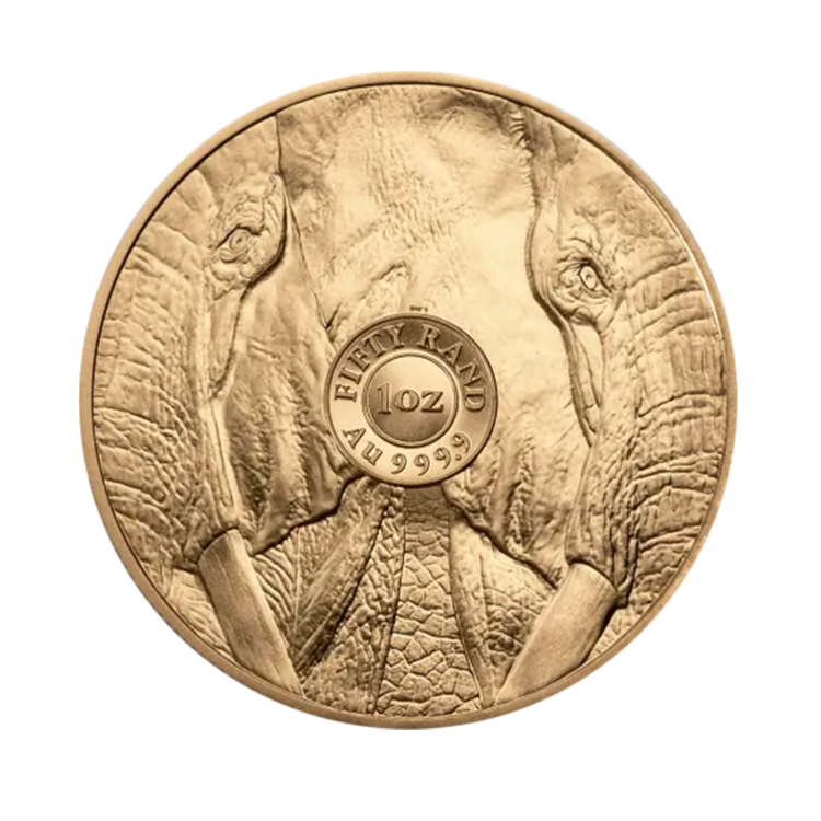 1 troy ounce gouden munt Big Five Olifant 2024 achterkant