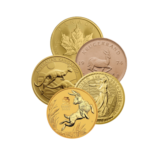 Diverse 1 troy ounce gouden munten voorkant