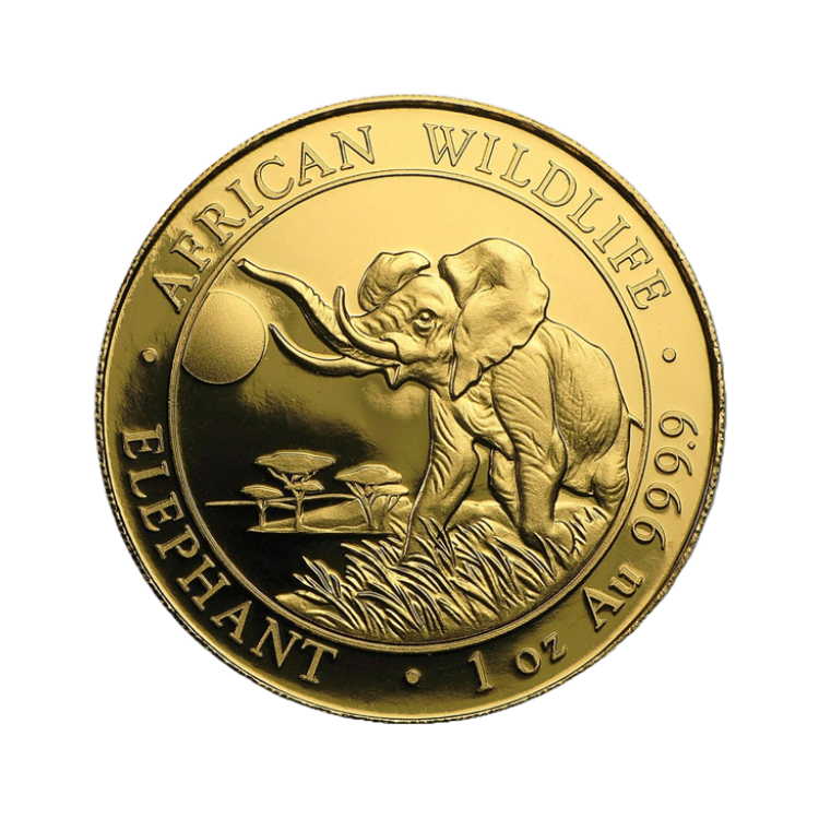 1 troy ounce goud Somalische Olifant diverse jaargangen voorkant