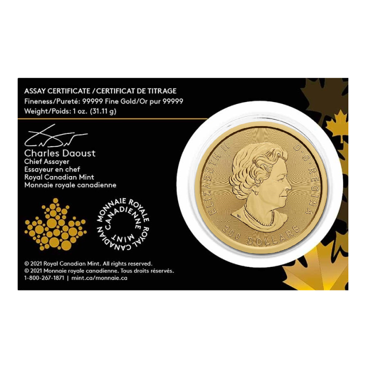 1 troy ounce gold Klondike Gold Rush coin 2021 angle 2