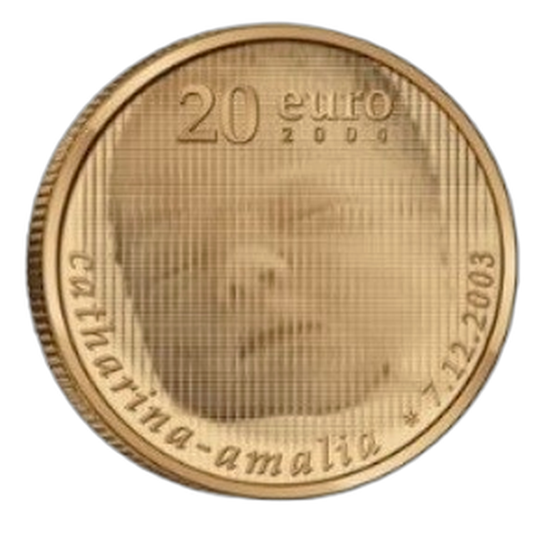 Gouden munt 20 Euro Amalia 2004 voorkant