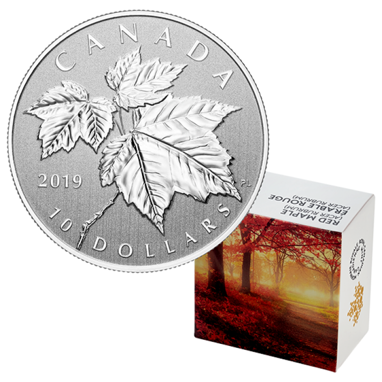 1/2 Troy ounce zilveren munt Maple Leaf 2019 voorkant