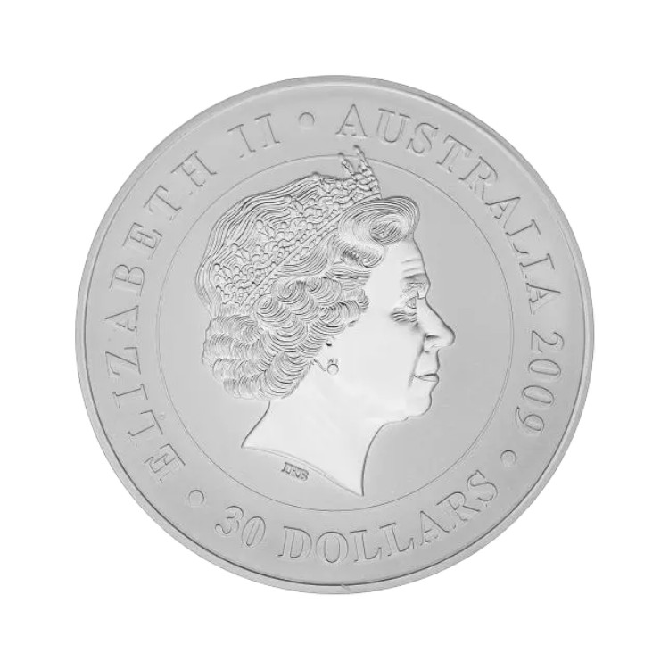 Australian Koala 1 kilo