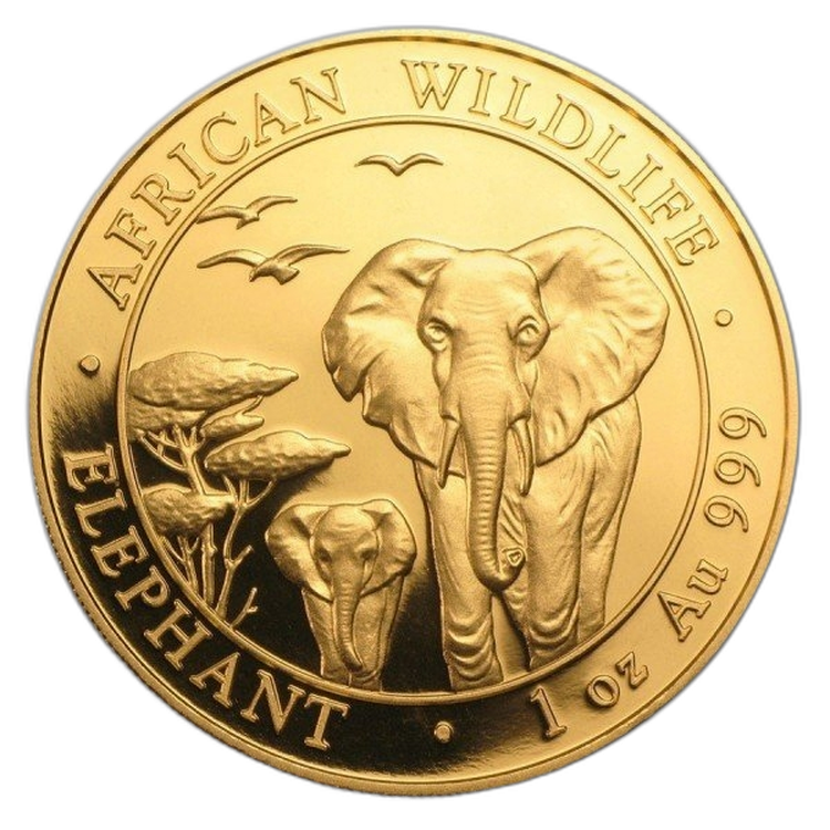 1 Troy ounce gouden munt Somalische Olifant 2019 voorkant