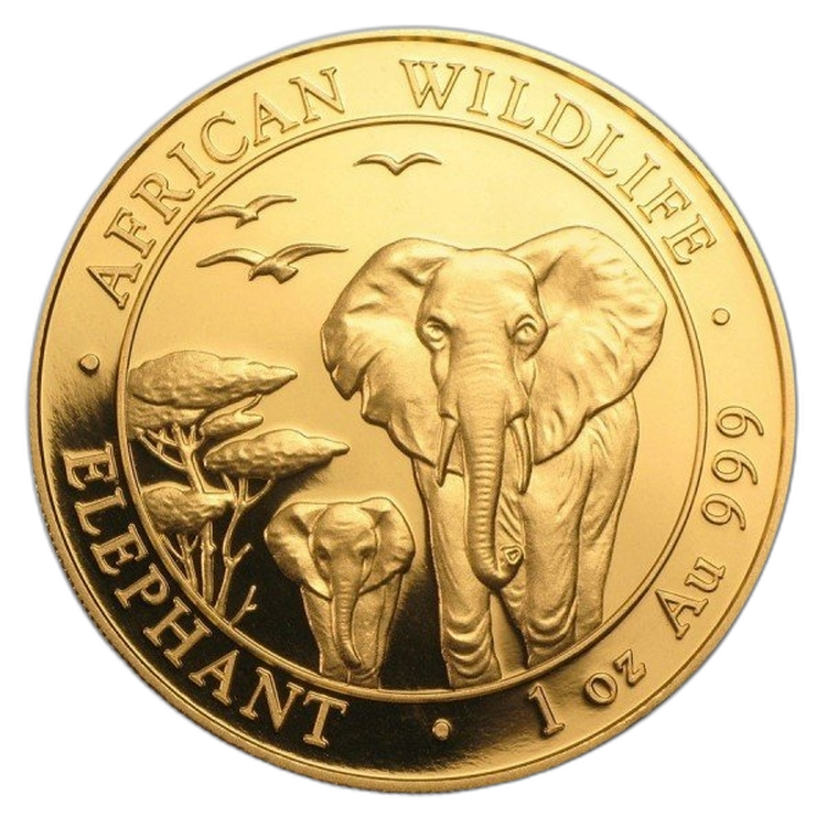 1 Troy ounce gouden munt Somalische Olifant 2017 voorkant