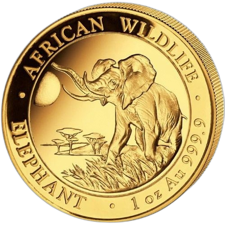 1 Troy ounce gouden munt Somalische Olifant 2016 voorkant