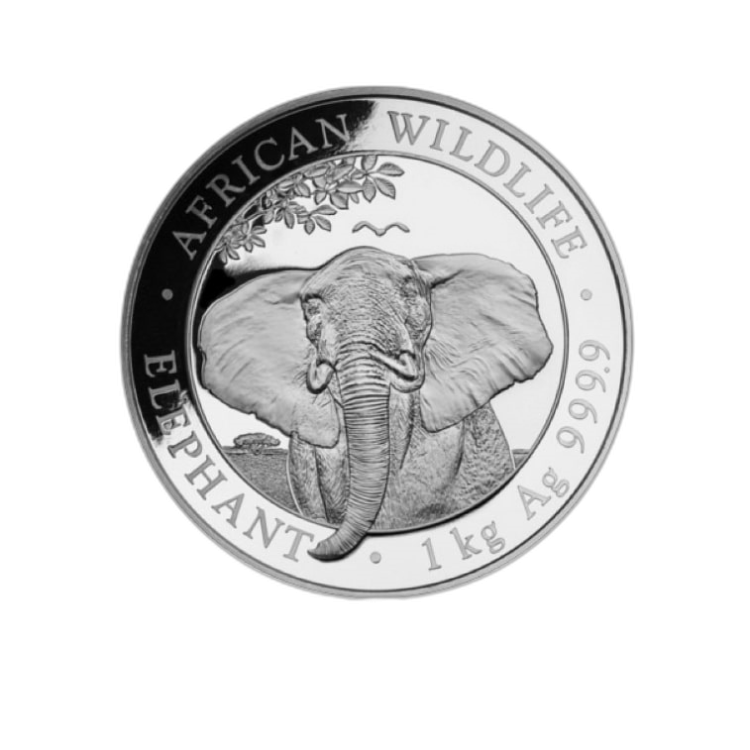 1 kilogram silver coin Somali Elephant 2021 front