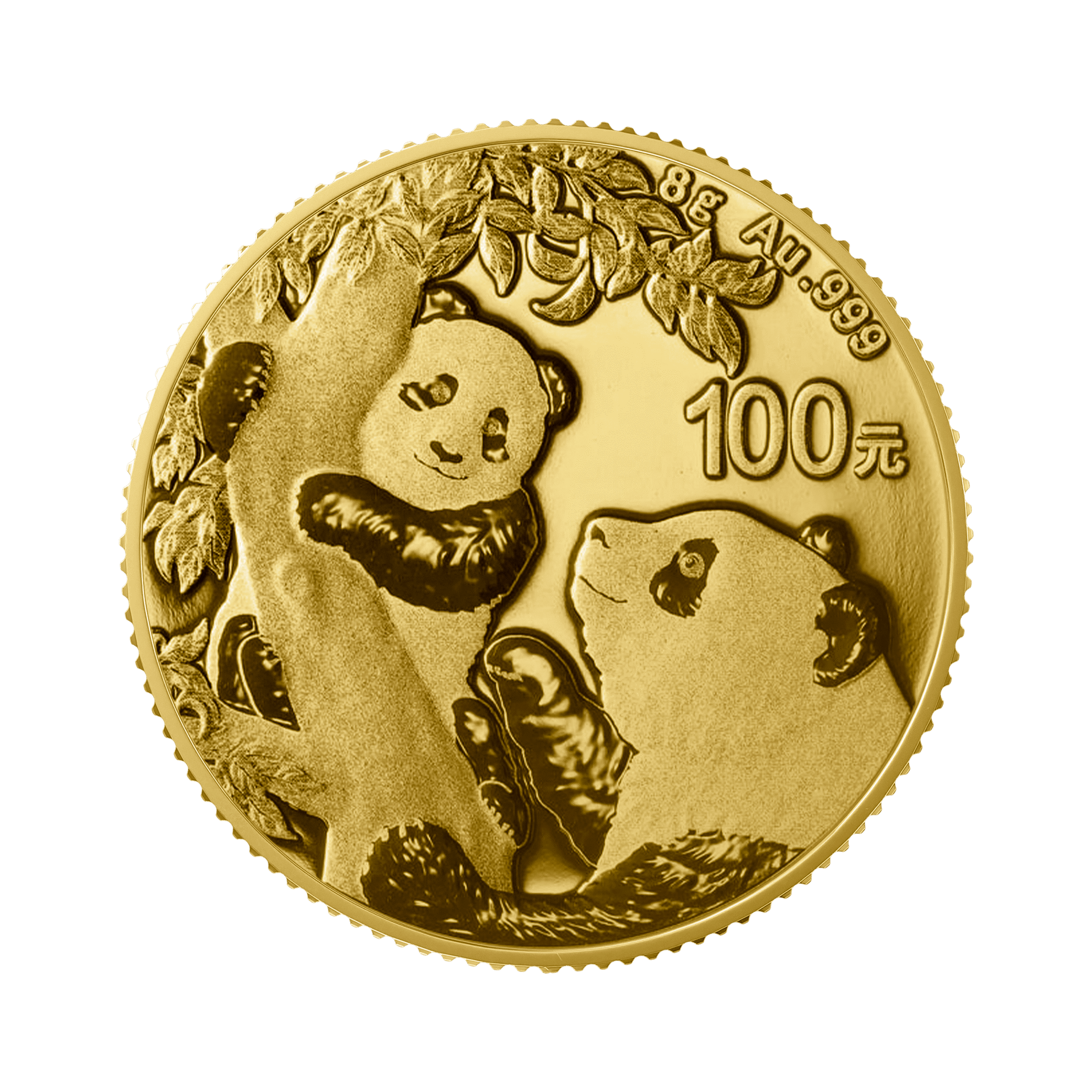8 gram gouden munt Panda 2021 voorkant