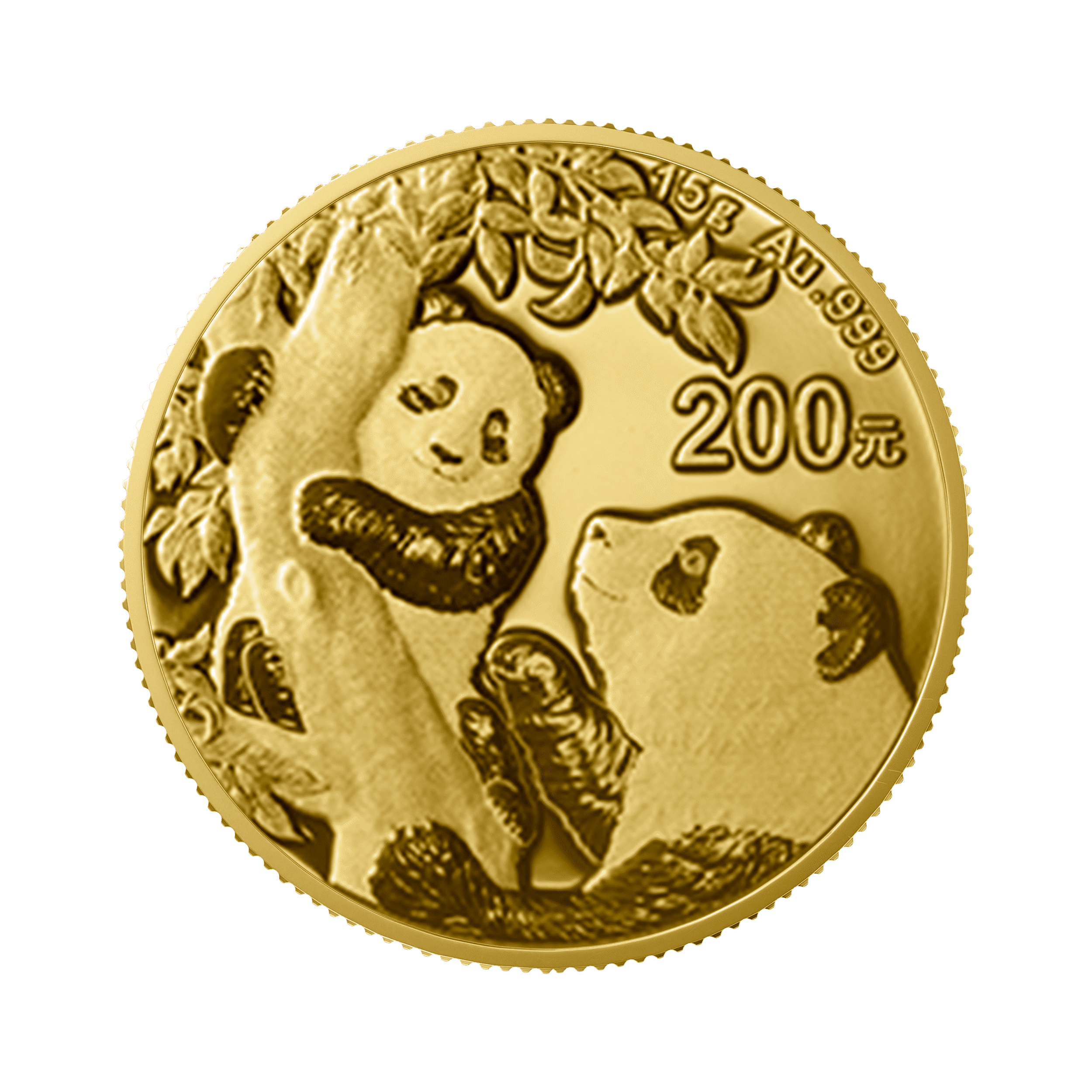 15 gram gouden munt Panda 2021 voorkant
