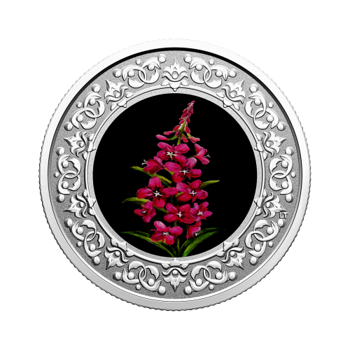 Silver coin Flower emblems of Canada Fireweed front