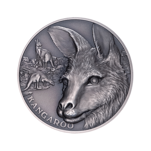 1 troy ounce silver coin Up close kangaroo 2021 front