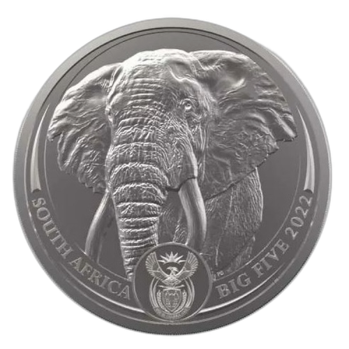 1 troy ounce platina munt Big Five Olifant 2022 voorkant