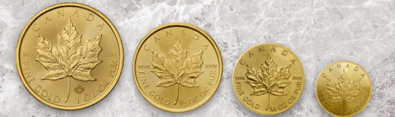 Gold coins in various sizes