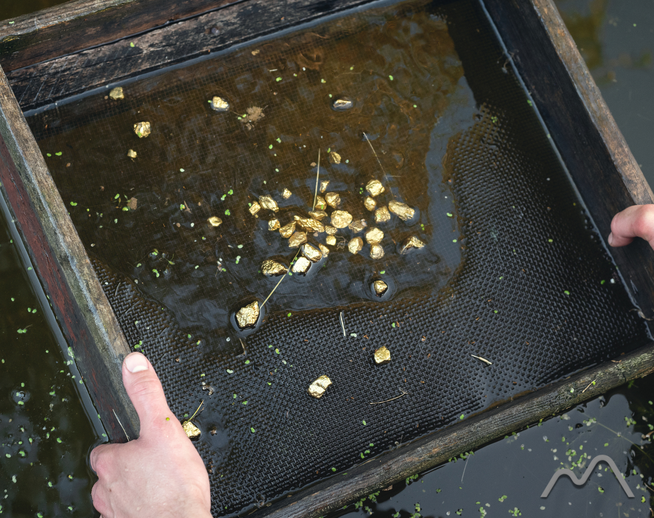 gold sieves